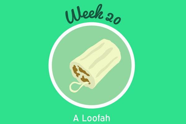20 Weeks Pregnant Symptoms