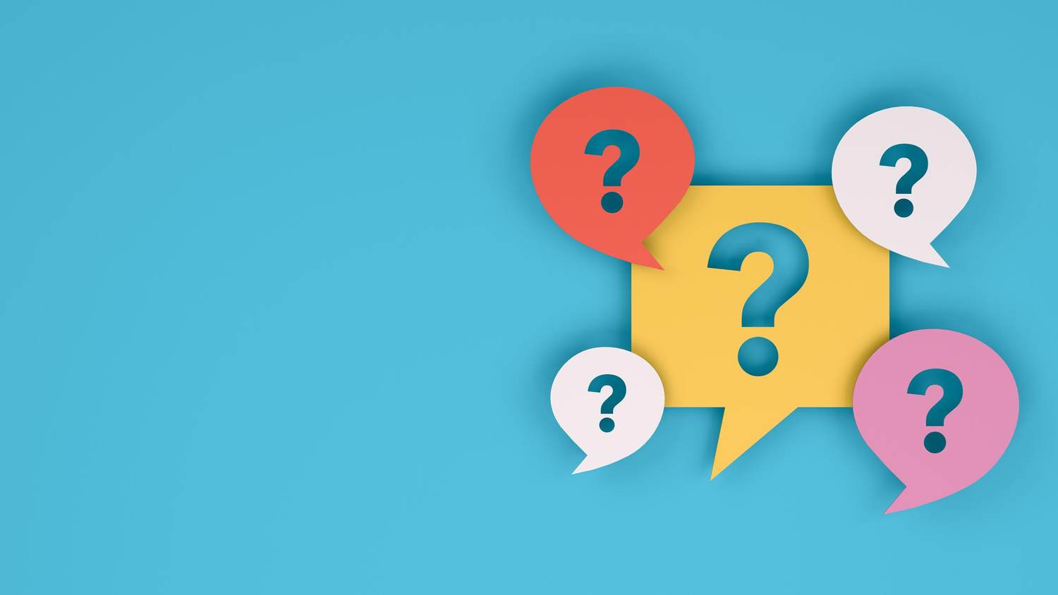 We Asked. You Answered.