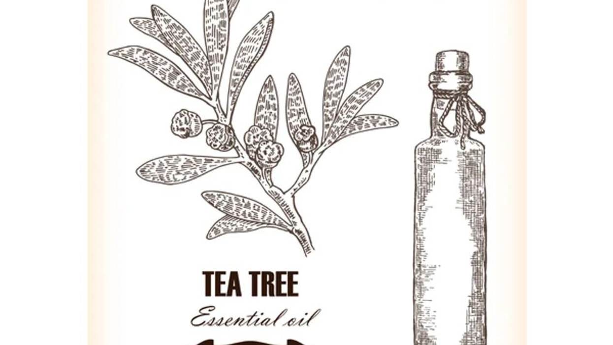 7 Uses for Tea Tree Oil