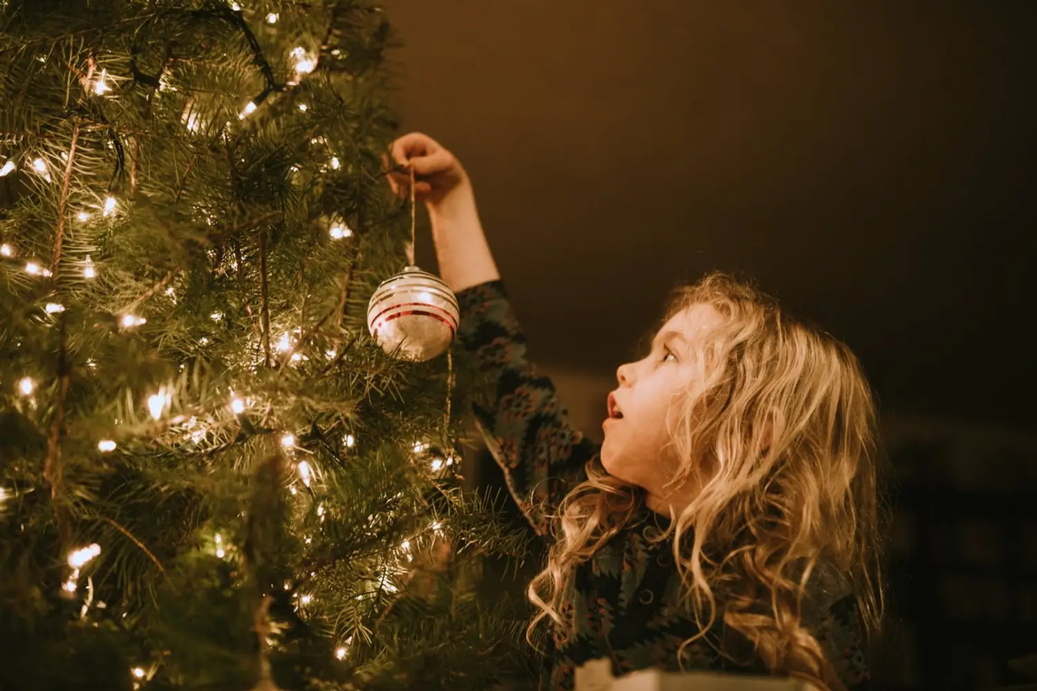 Keep Your Home Safe During the Holidays