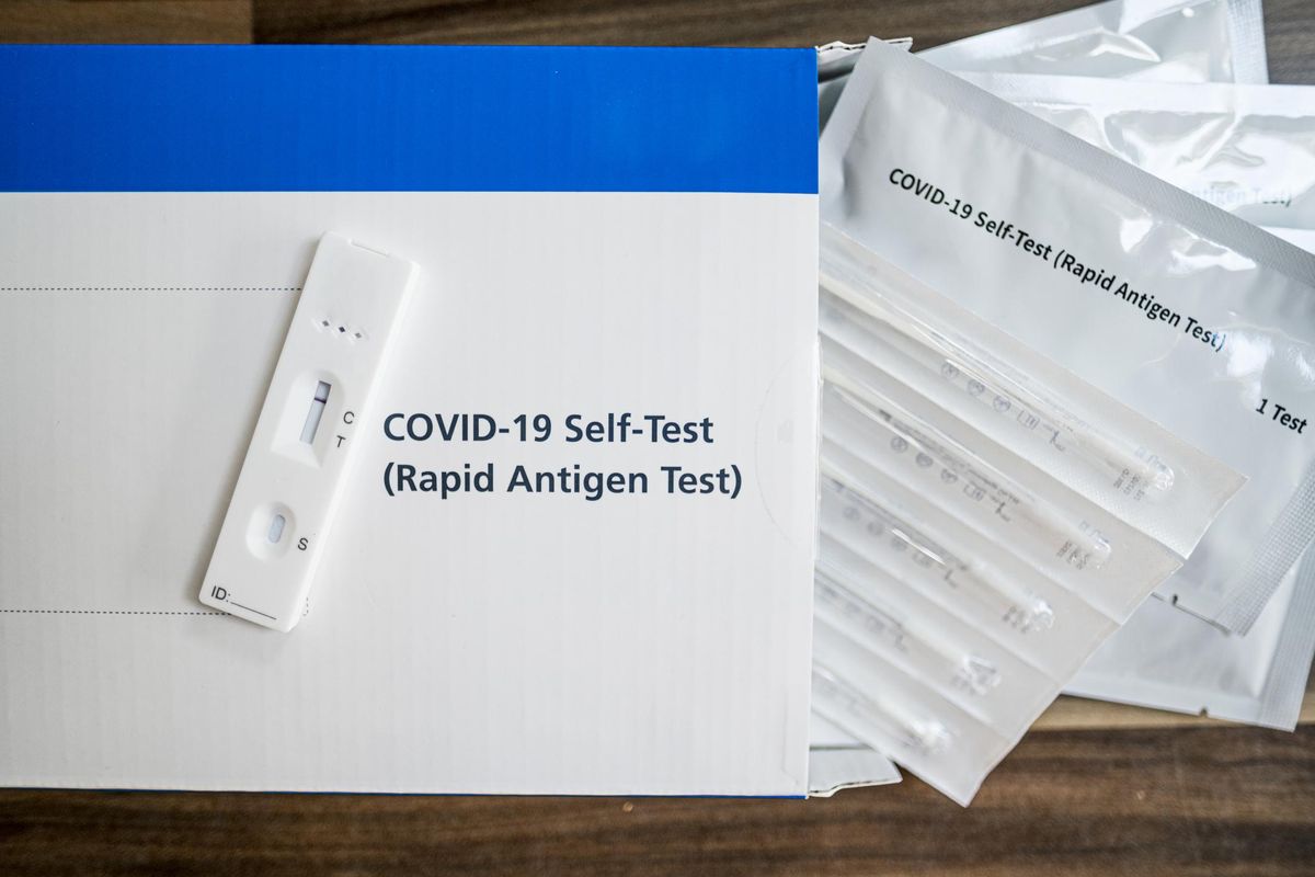 A close up of a lateral flow home testing kit