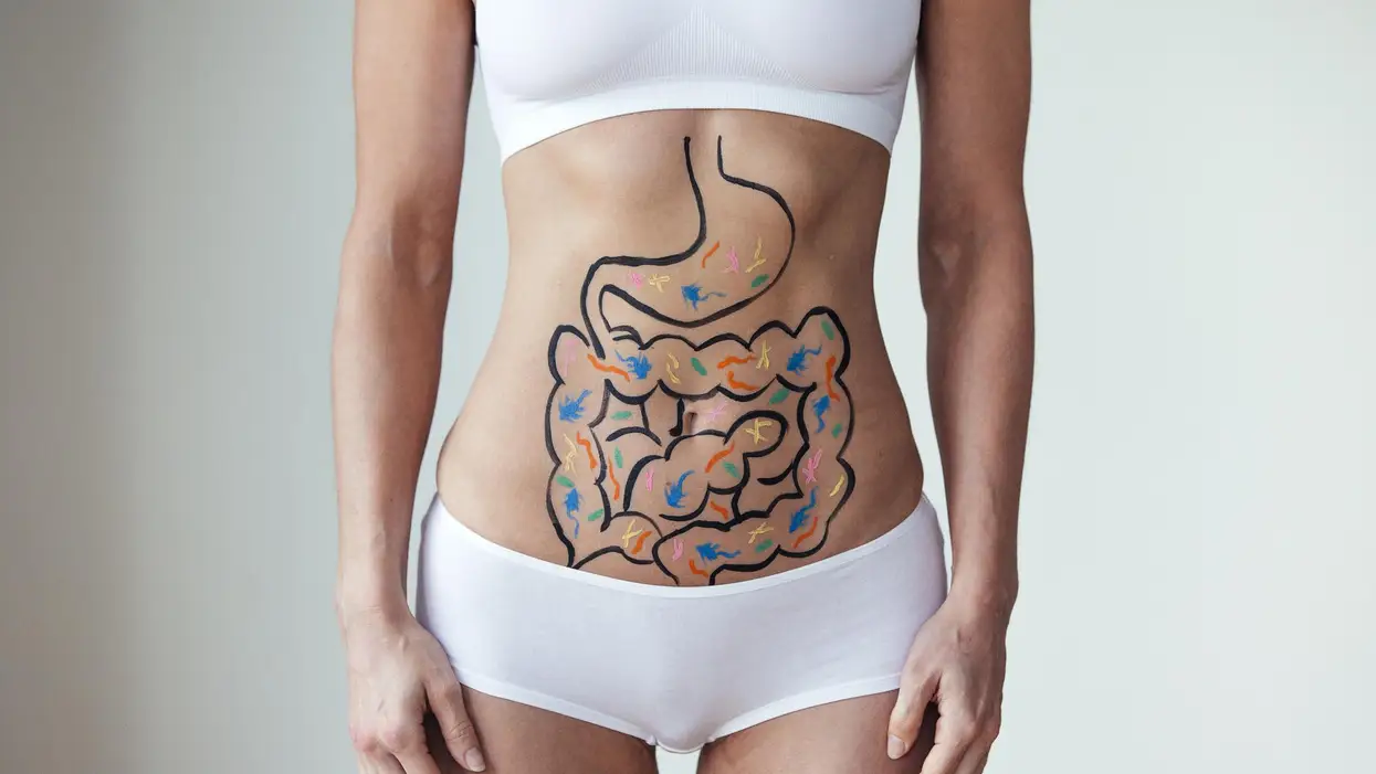 A Healthy Microbiome Builds a Strong Immune System That Could Help Defeat Covid-19