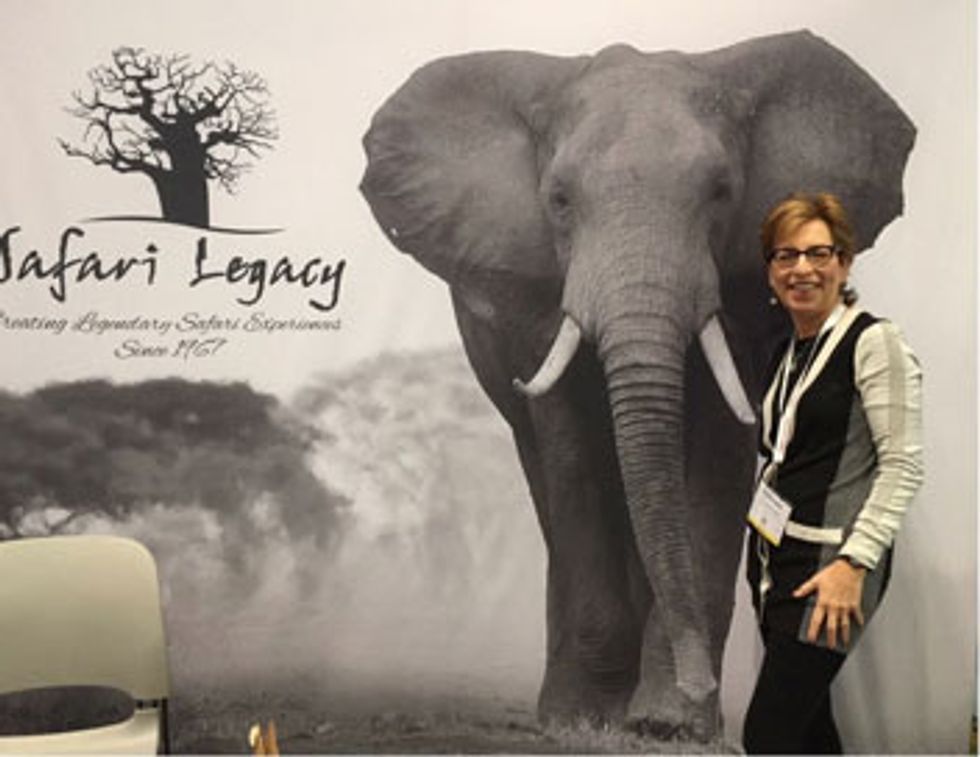 African Safari trips are popular with adventure travelers.