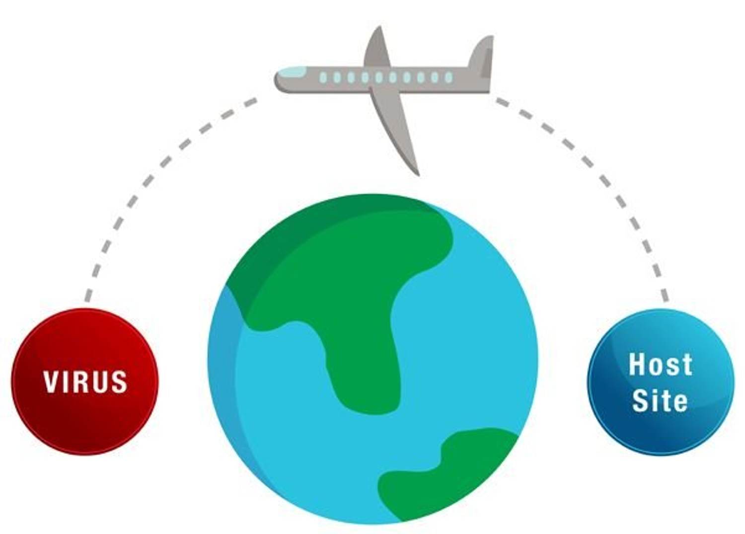 Easy Ways to Avoid Airplane Germs