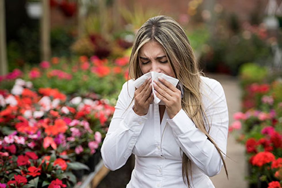 Allergy Relief Do's and Don'ts