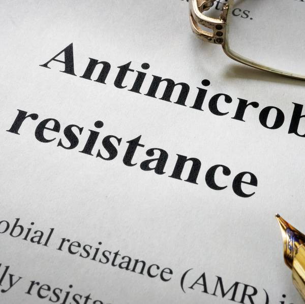 AMR text