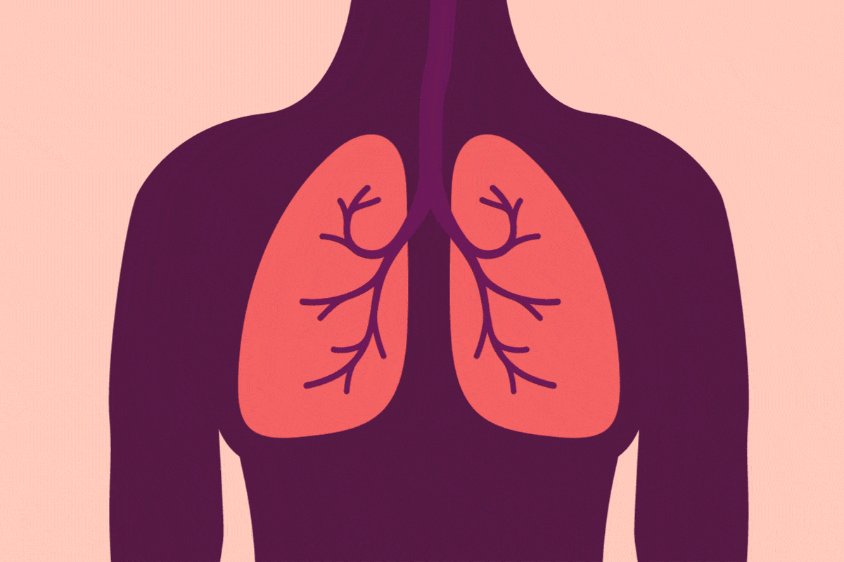 animasyonlu akciğerler