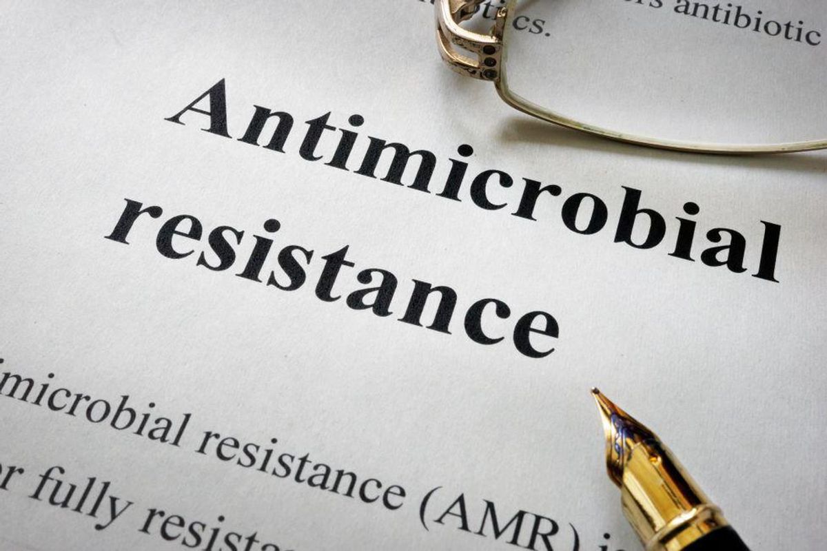 Antimicrobial Resistance (AMR)