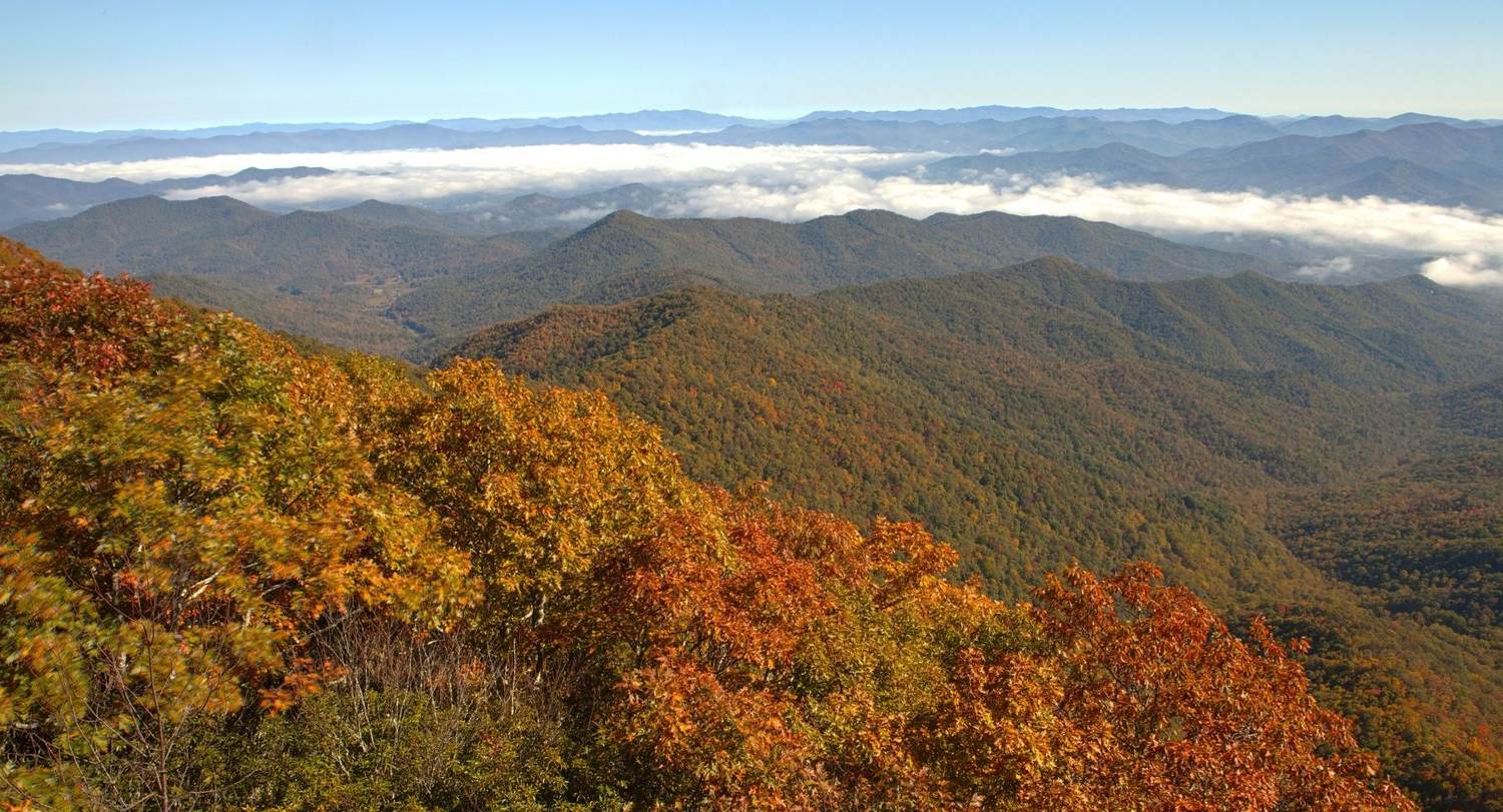 I’m Hiking the Appalachian Trail From Home. Here’s How You Can, Too.