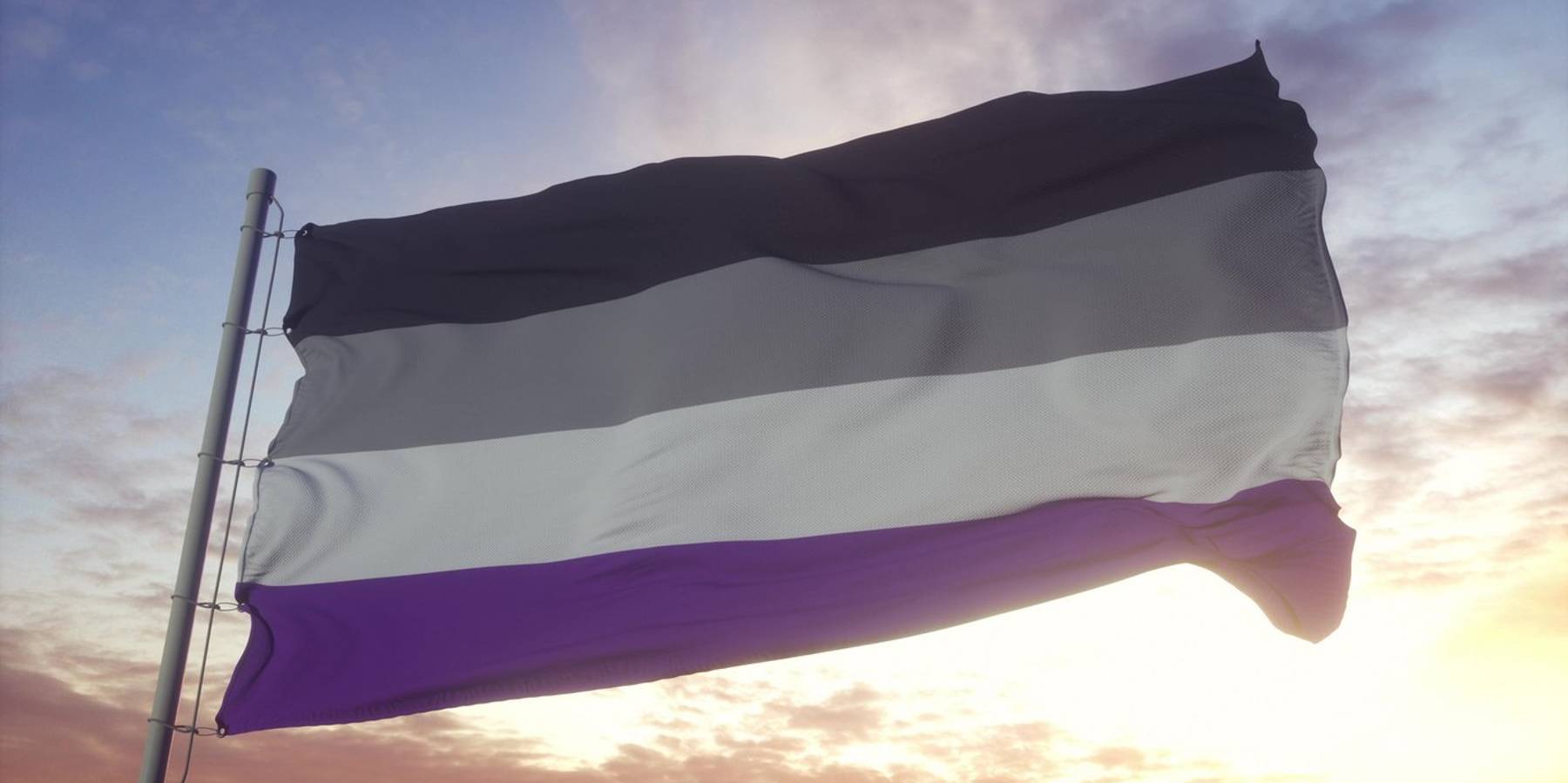 Asexual flag waving in the wind,