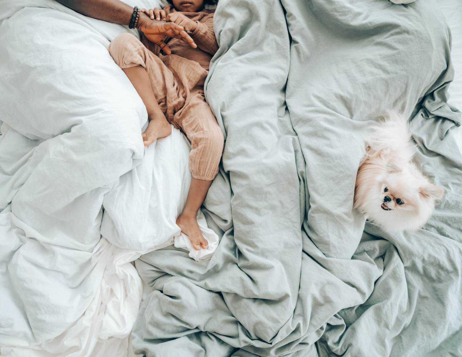Bedding Boost: How to Clean Down or Feather Pillows and Comforters at Home