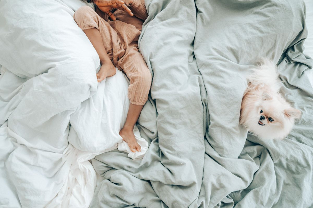 baby and dog on a down comforter