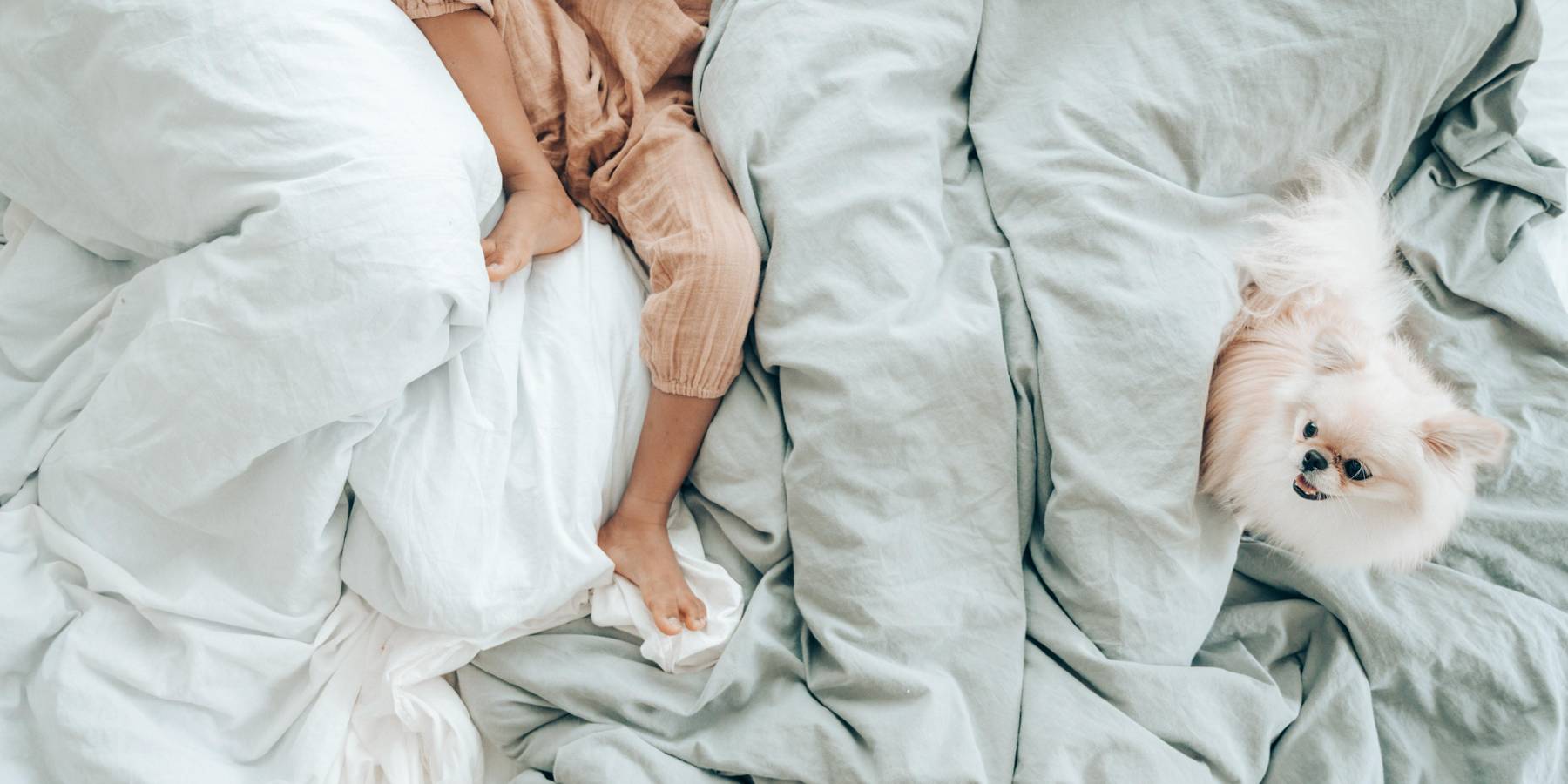baby and dog on a down comforter