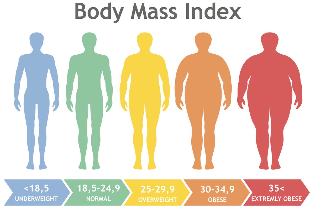 20 bmi Body Mass