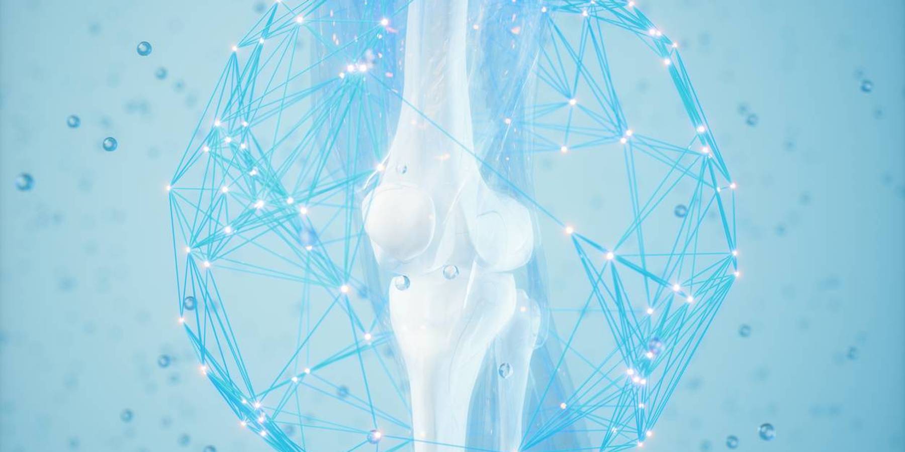 bone with osteoporosis