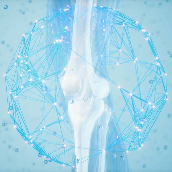 bone with osteoporosis