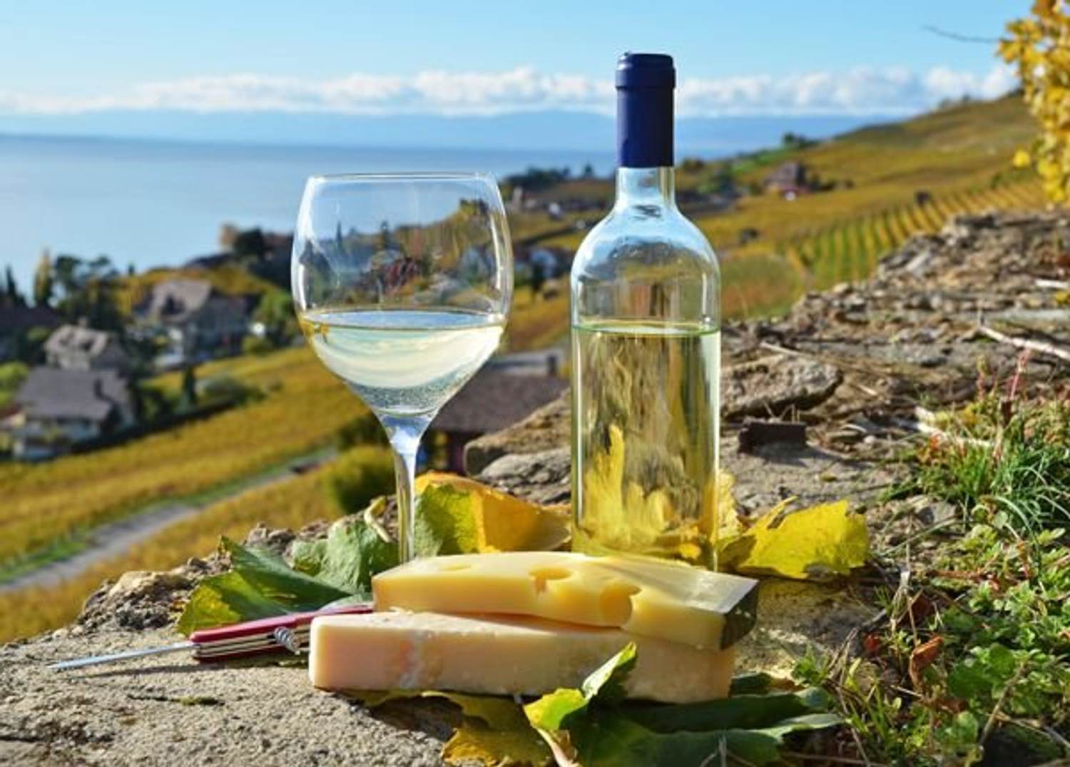 Healthy End of Summer Food and Wine Pairings