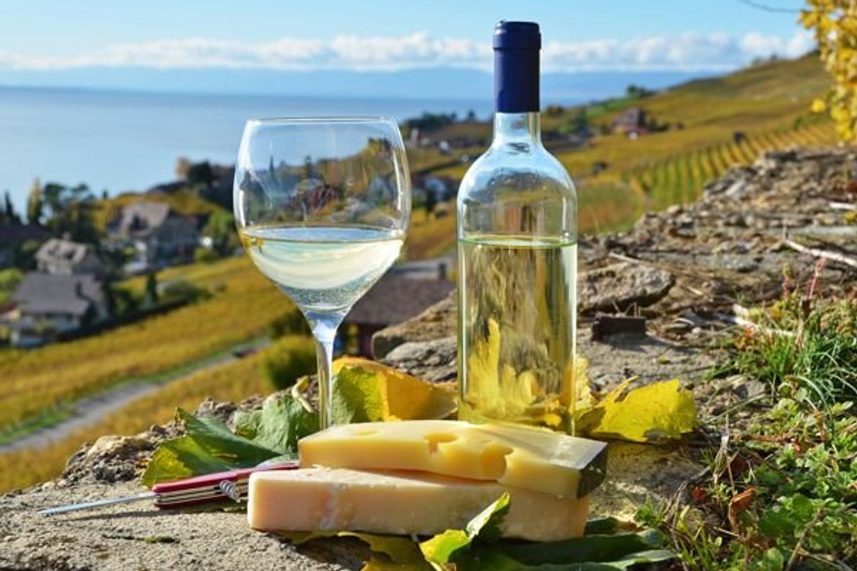 bottle of wine and cheese