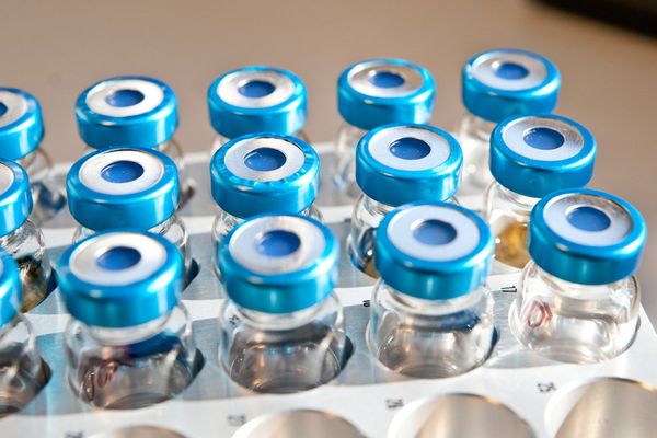 Bottles (vials) arranged in an autosampler magazine