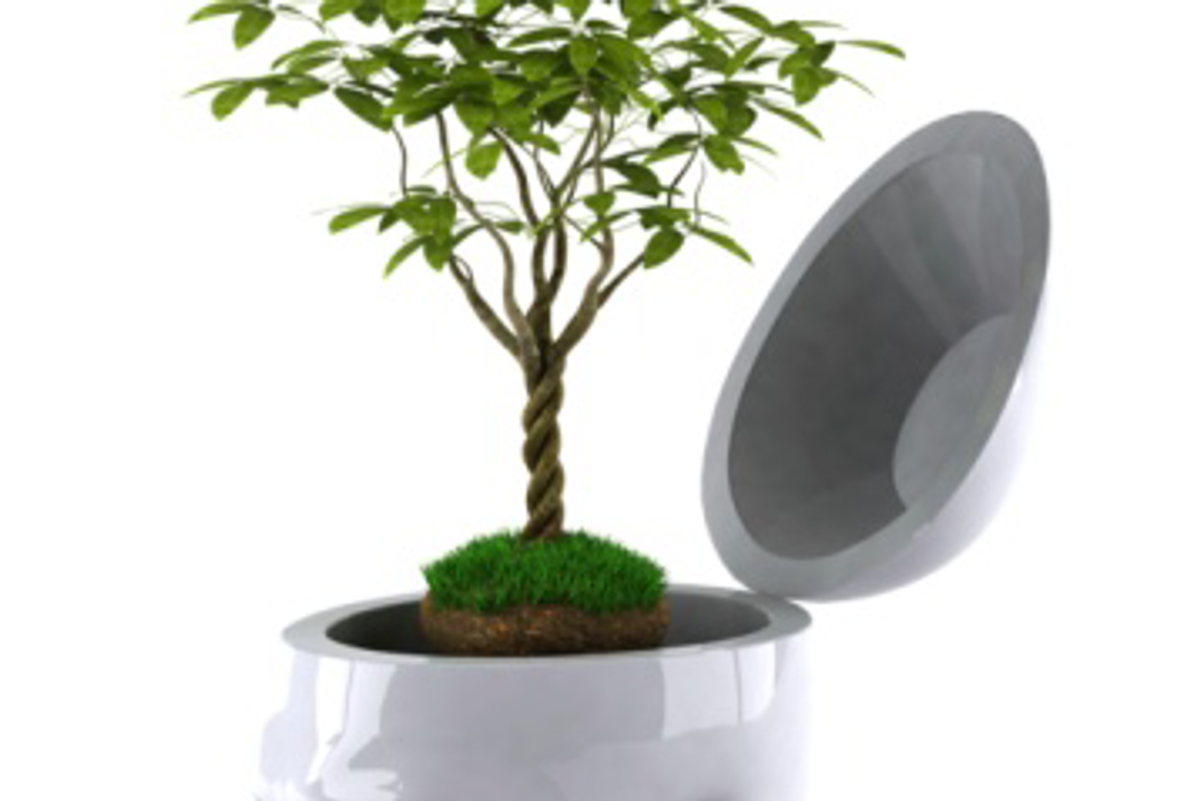 Brain-Healthy Spices You Should Be Using