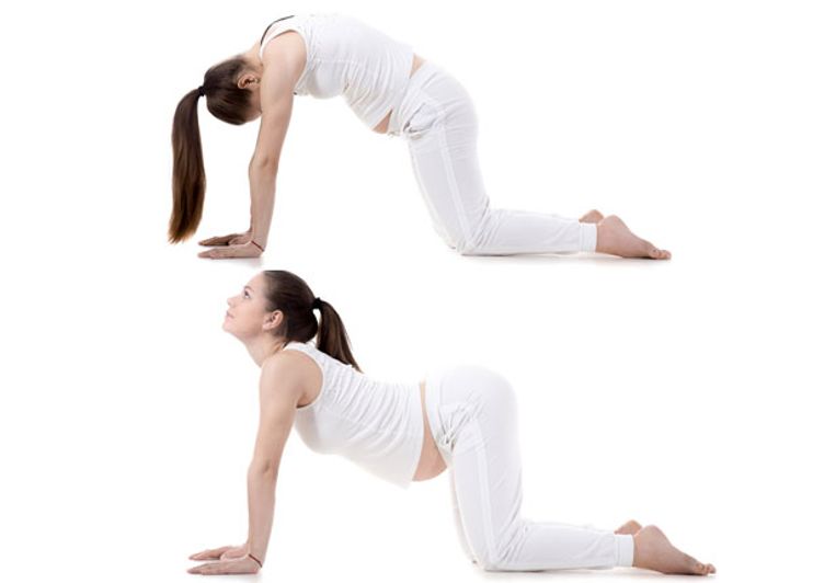 Best Yoga Poses During Pregnancy