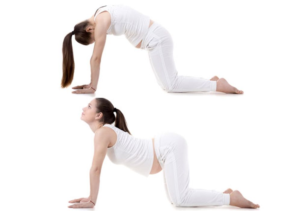 Cat cow prenatal yoga