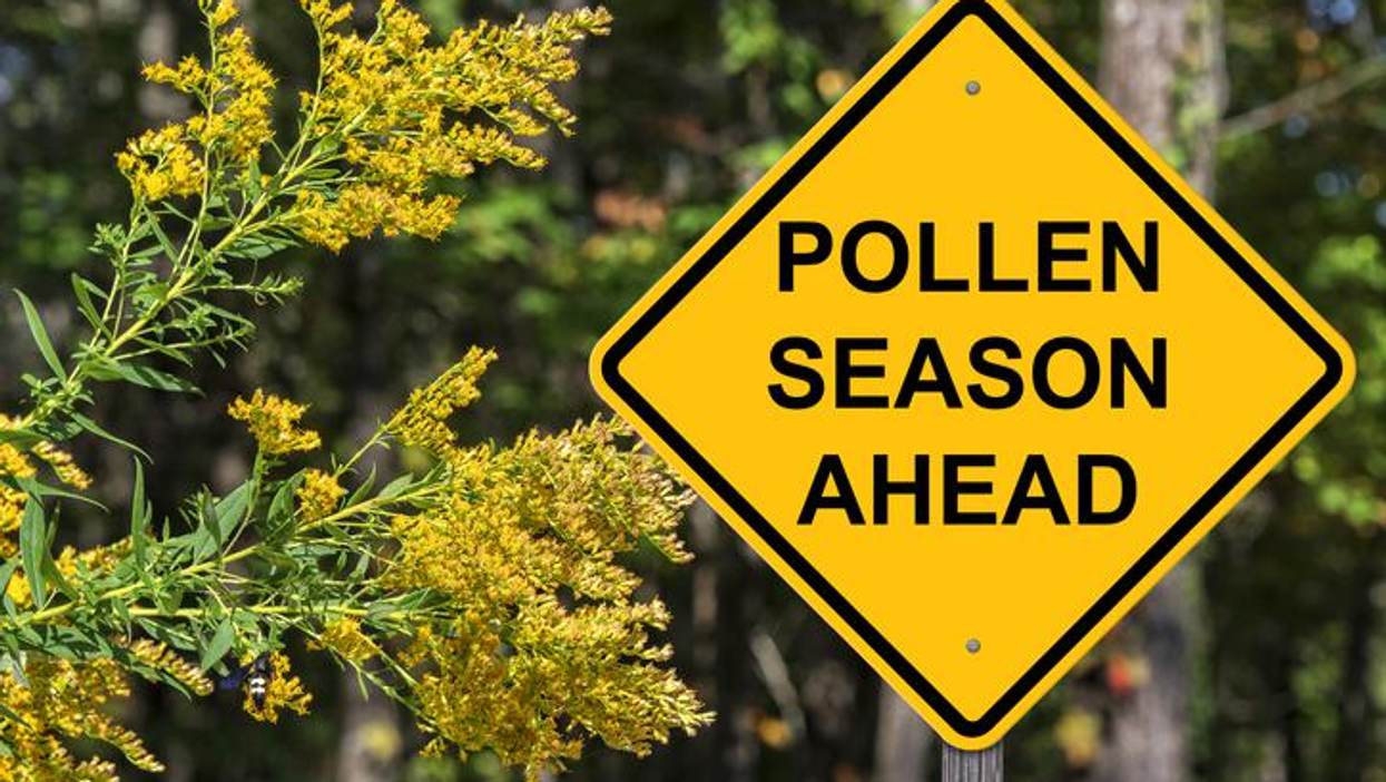 Achoo! 5 Essential Reads for Pollen Season