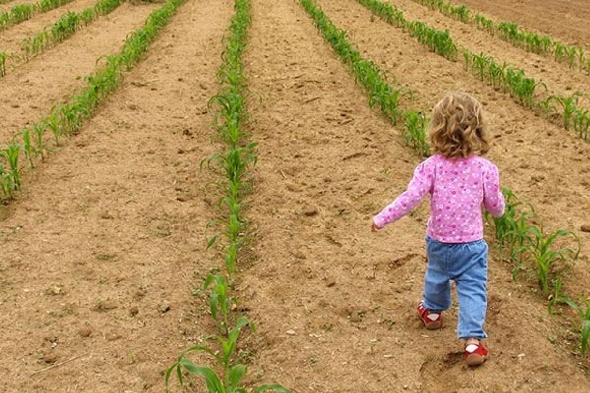 child walking in a field