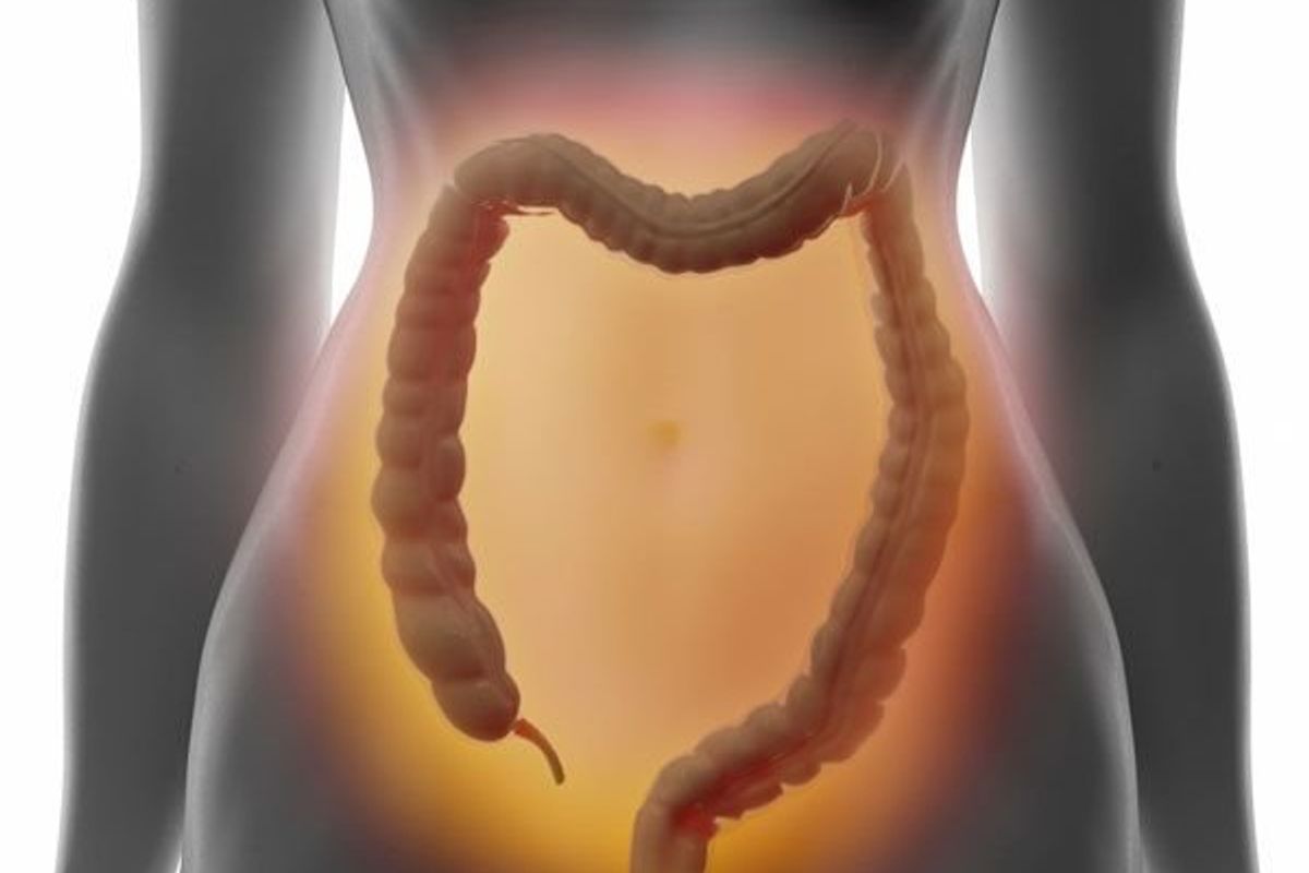 colon inside a woman's body