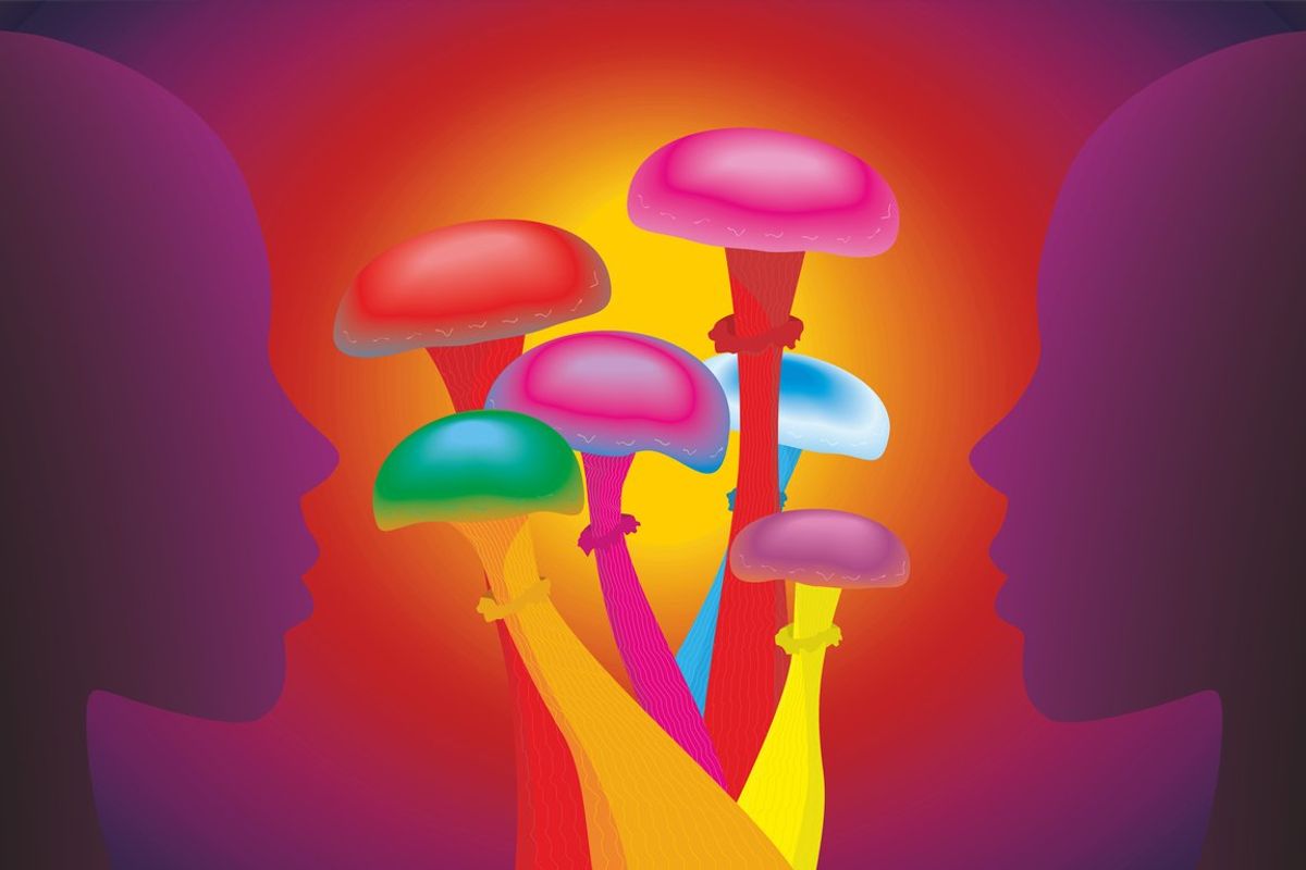 colorful magic mushrooms and faces in profile