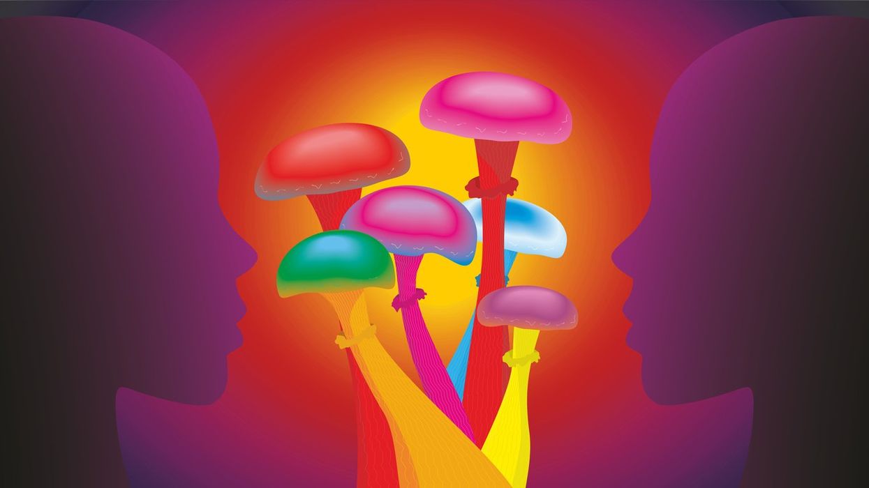 colorful magic mushrooms and faces in profile