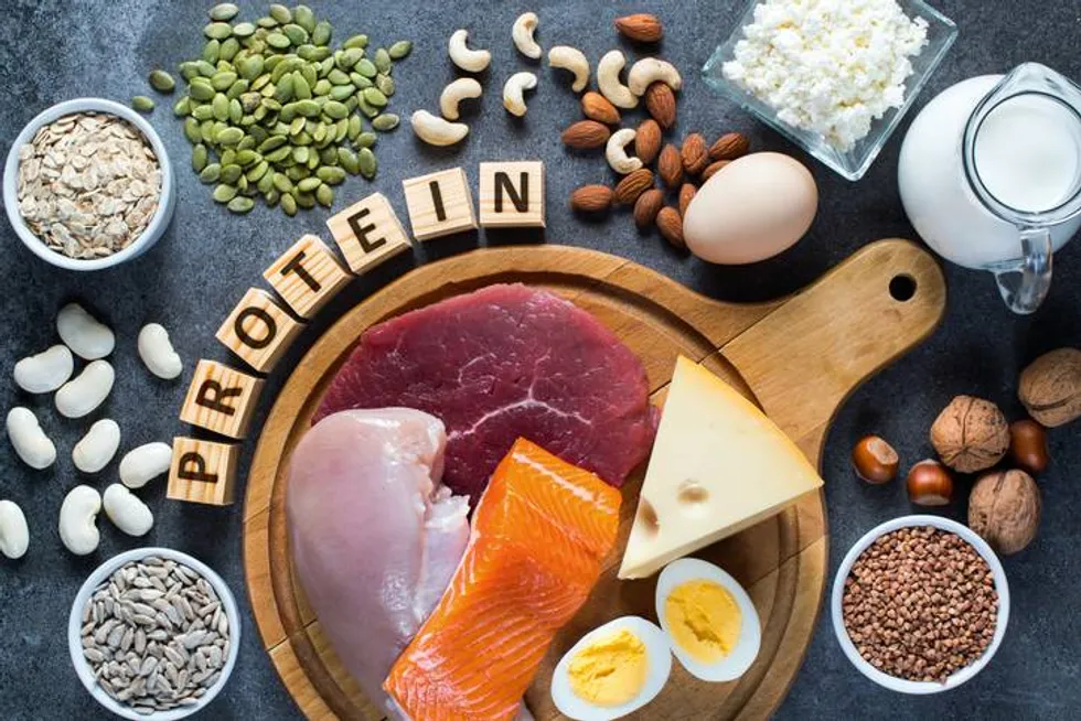 Composition with high protein food