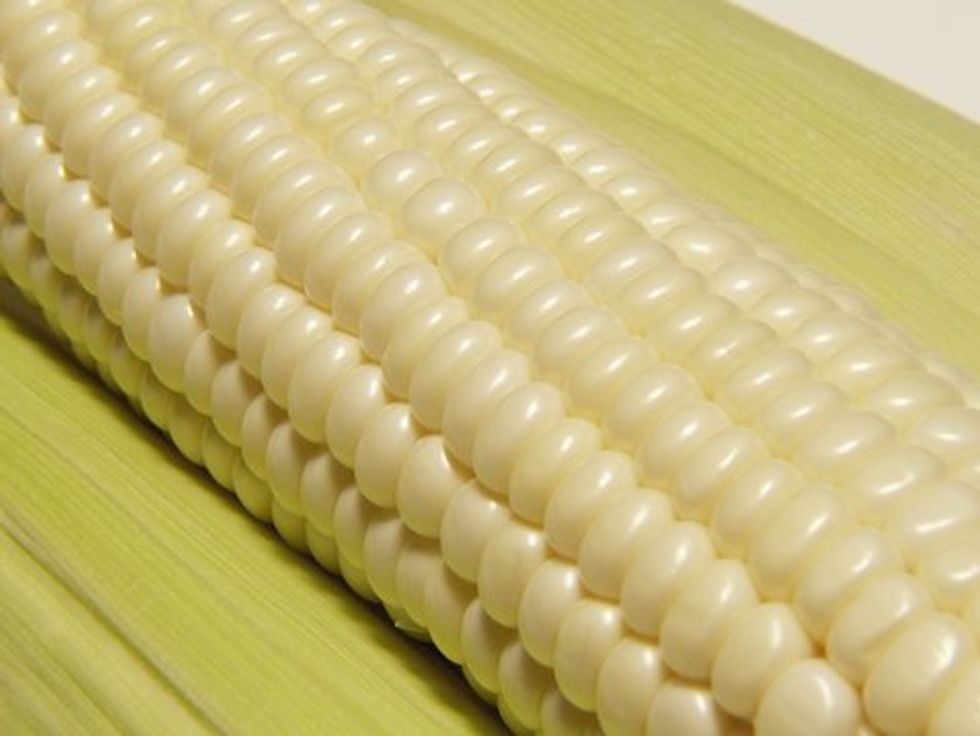 corn on the cob