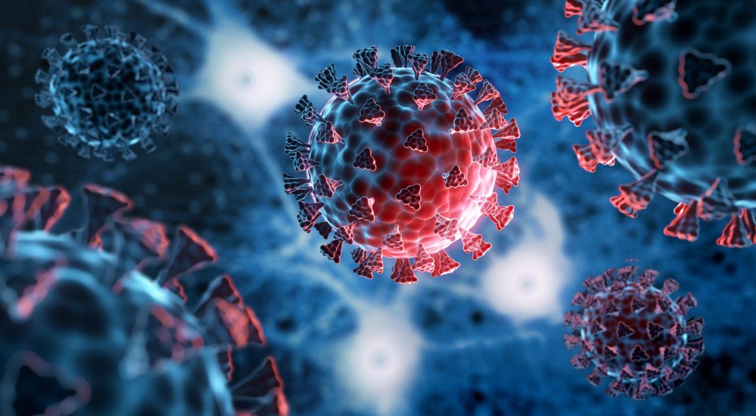 ​Am I at High Risk for Severe Illness from Covid-19?​