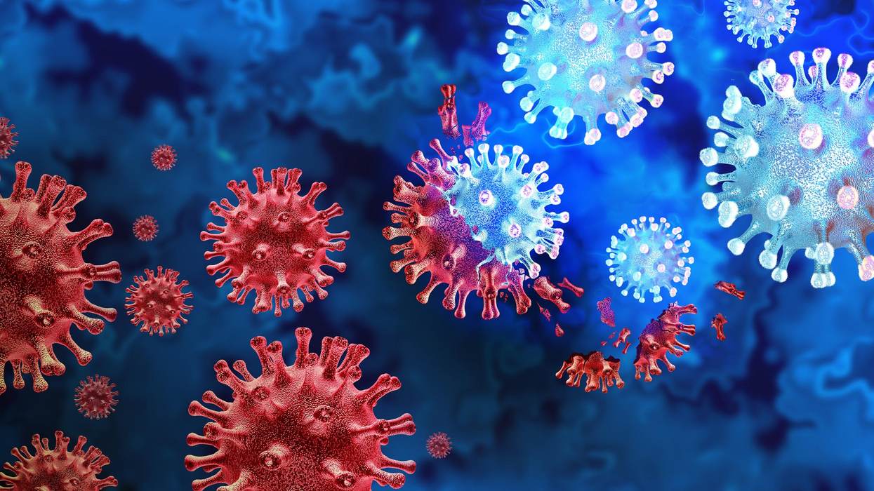 The Long-Lasting Impacts of Covid-19