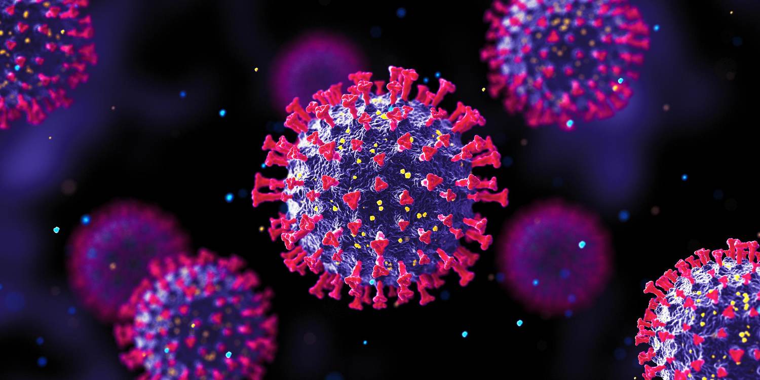 Despite Its Disastrous Effects, Covid-19 Offers Some Gifts to Medicine — an Immunology Expert Explains What It Can Teach Us About Autoimmune Disease