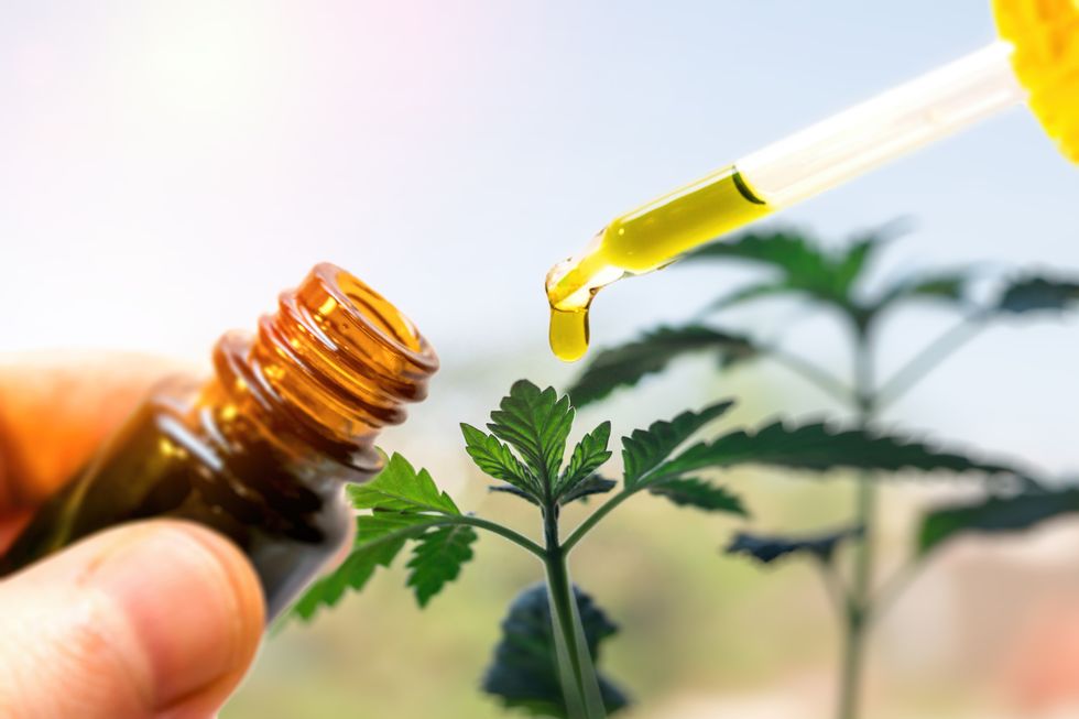 Could CBD Treat Opioid Addiction?