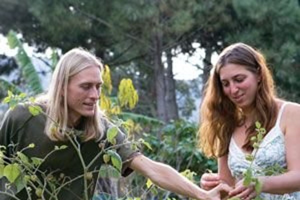 couple gardening