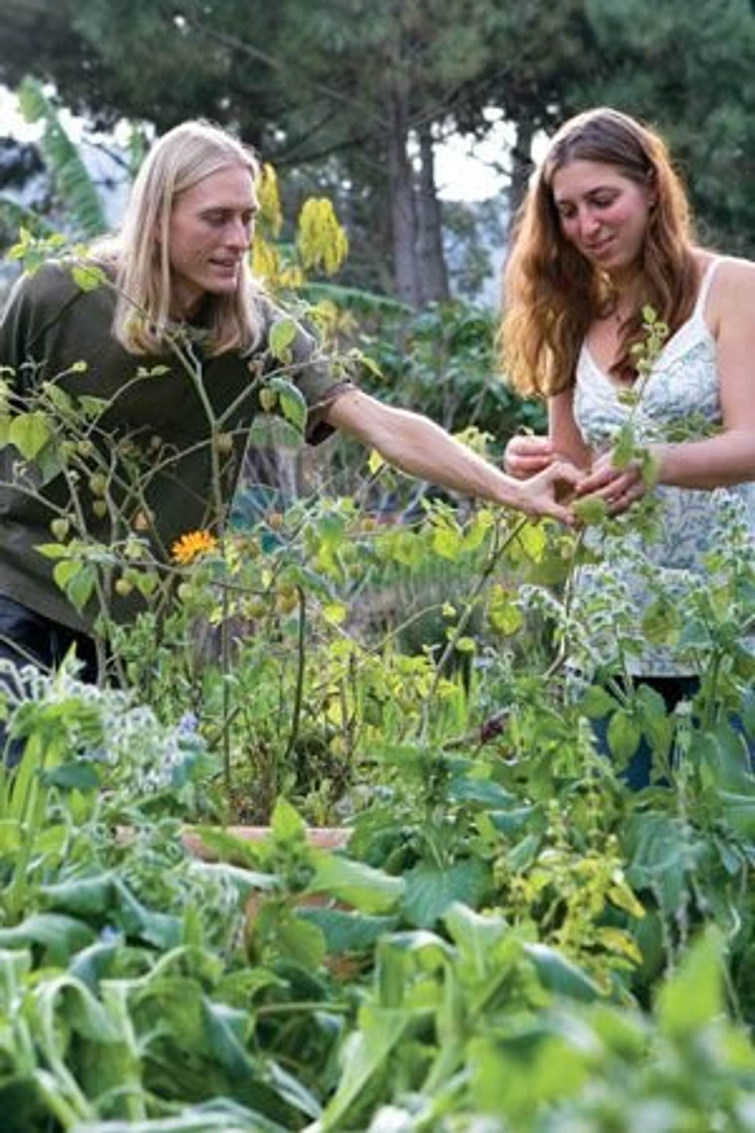 Raw Food Diet: Is it for you?