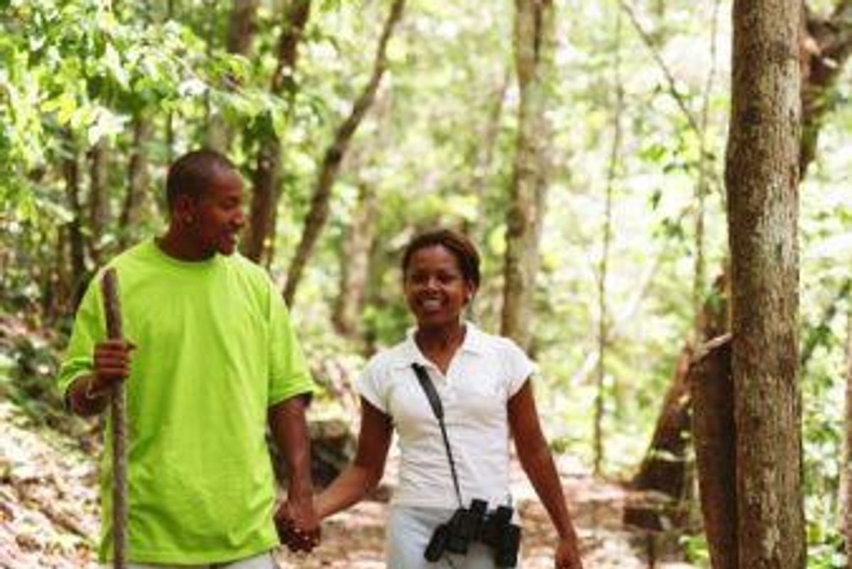 couple walking in the forest