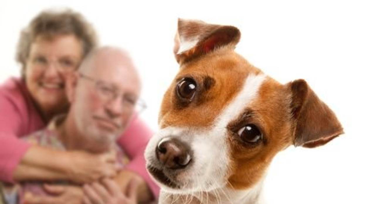Why Pets Make Great Caregiving Companions