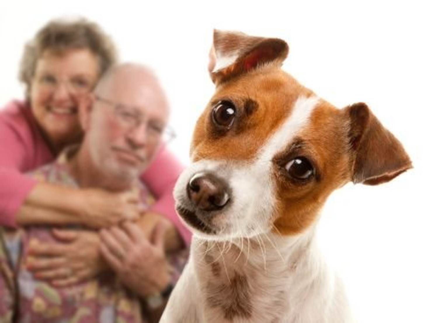 Why Pets Make Great Caregiving Companions