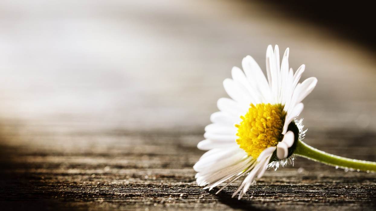 When Grief Won’t Let Go