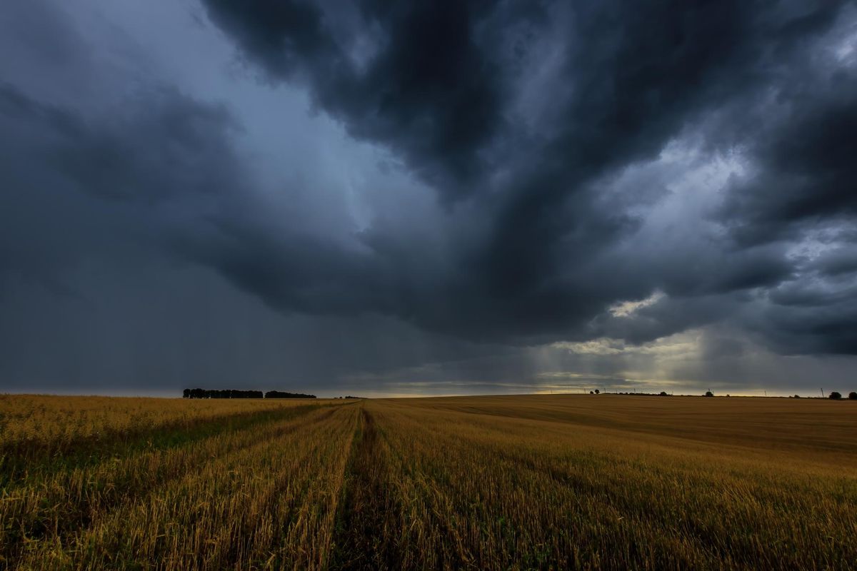 Dark storm clouds in an agricultural field in autumn