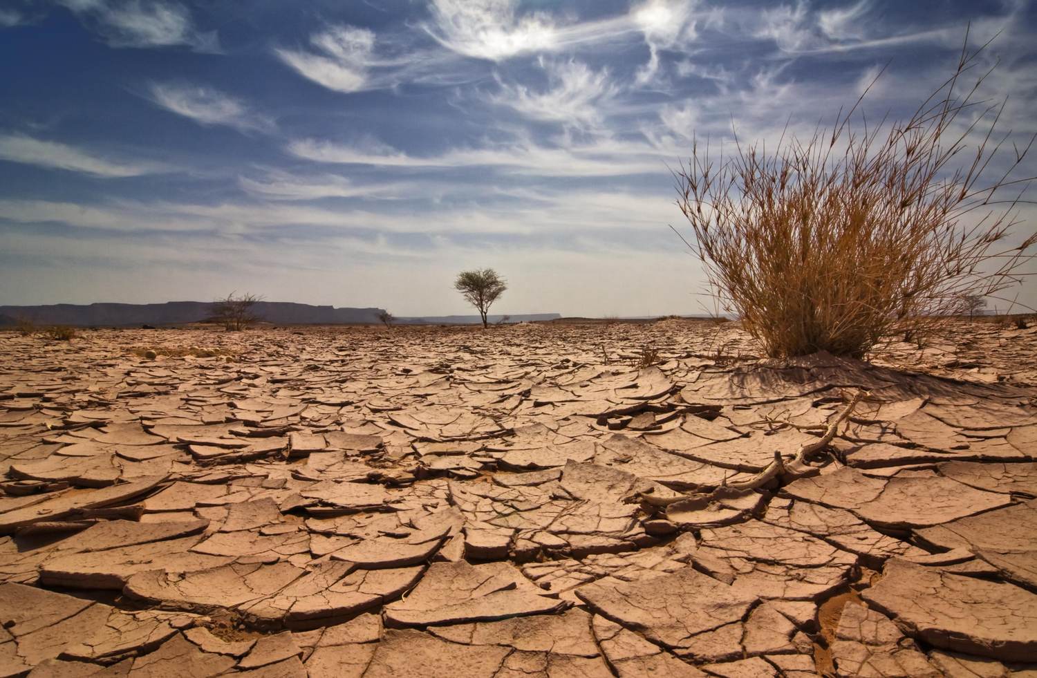 Knowing How Heat and Humidity Affect Your Body Can Help You Stay Safe During Heat Waves