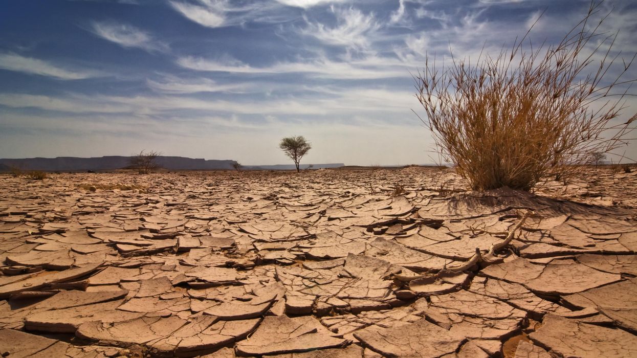 desert