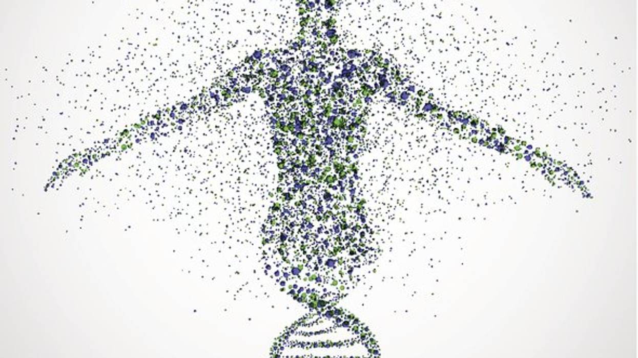 How Do Genes Affect Your Health?