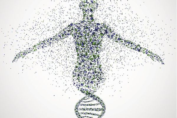 Do Genetic Predispositions Affect Your Health?
