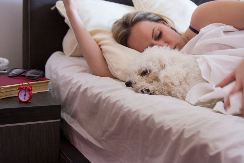 Do You Share a Bed With Your Dog?