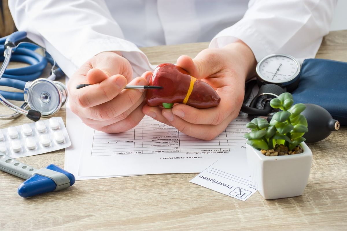 doctor holding a model of a gallbladder